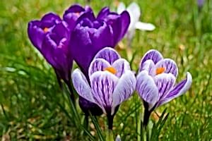 holiday cottage stay in April