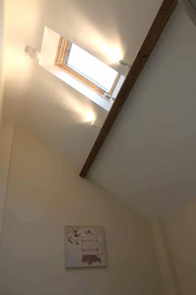 Honeysuckle pet friendly holiday accommodation 38.jpg Honeysuckle pet friendly holiday accommodation 38.jpg